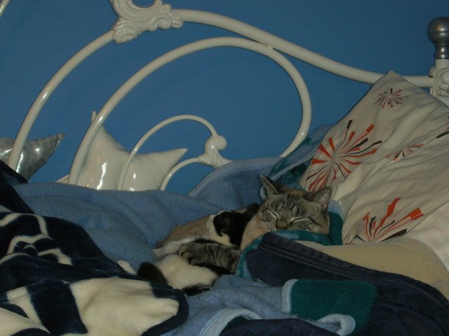 12-05-07015.JPG