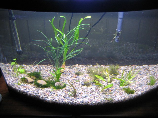 20090118_022.JPG 20090118_022.JPG