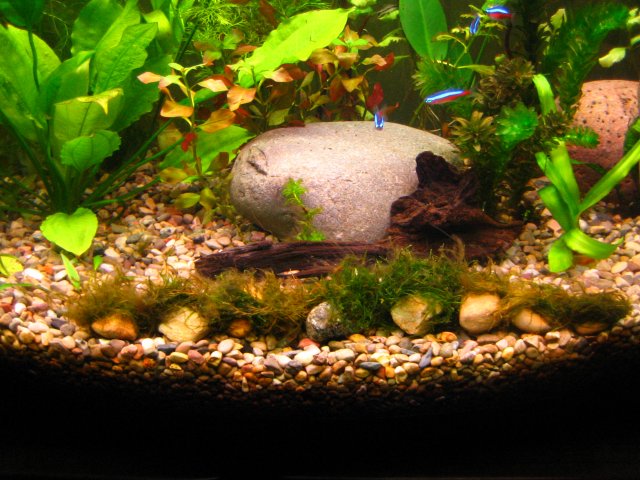 20090207_038.JPG 20090207_038.JPG