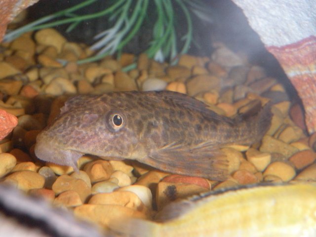DSCN0889.JPG