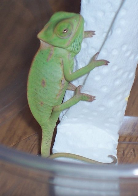 GeorgeDay1.jpg