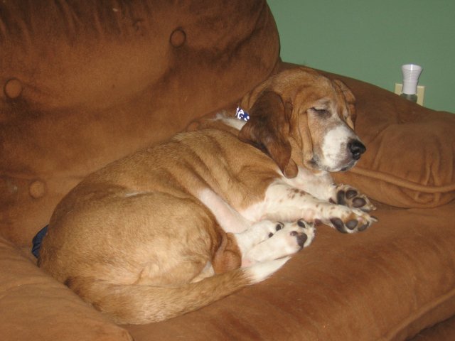 November and December 2007 025.JPG