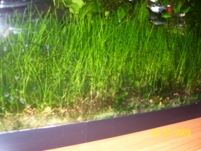 100_0797.jpg