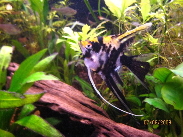 IMG_3454.JPG
