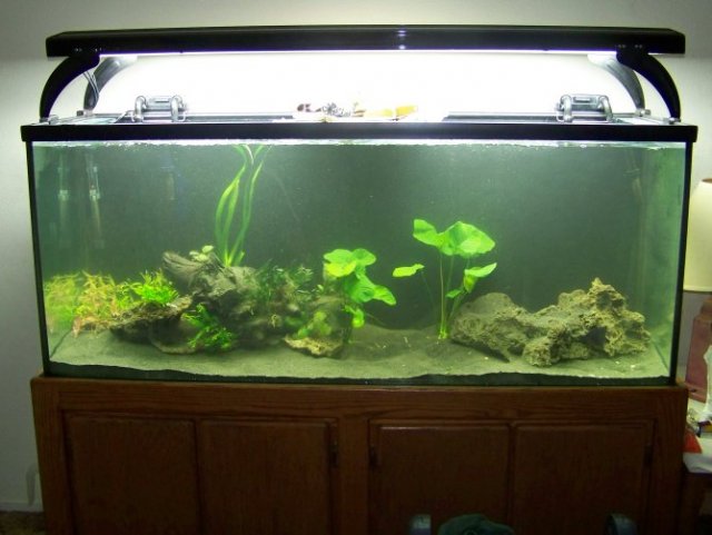 100_4115.jpg