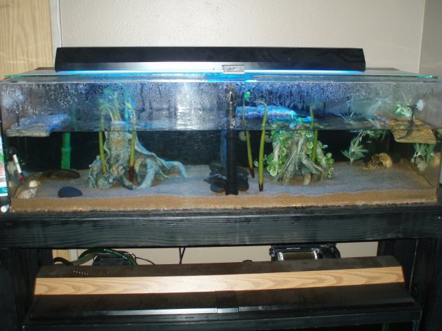 Full Tank - Day.JPG