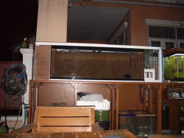 IMGP6231.jpg