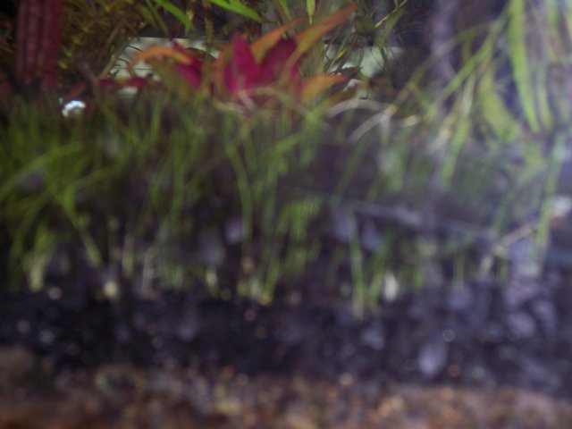 100_1728.JPG