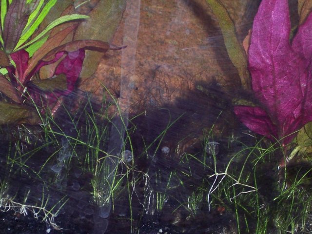 100_1730.JPG