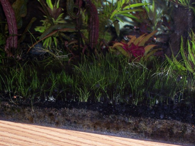 100_1731.JPG