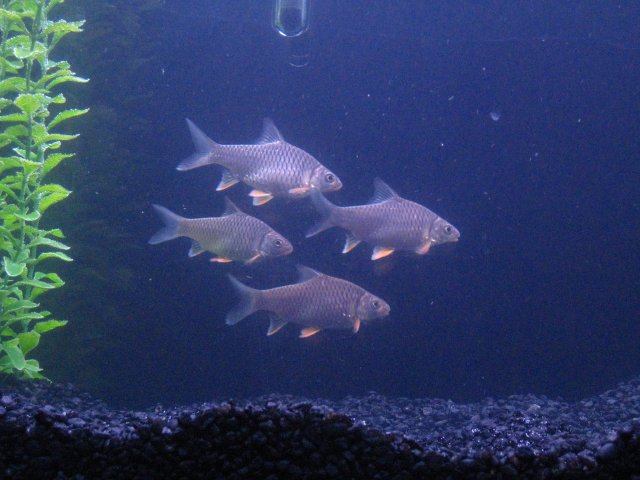 IMG_0862.JPG