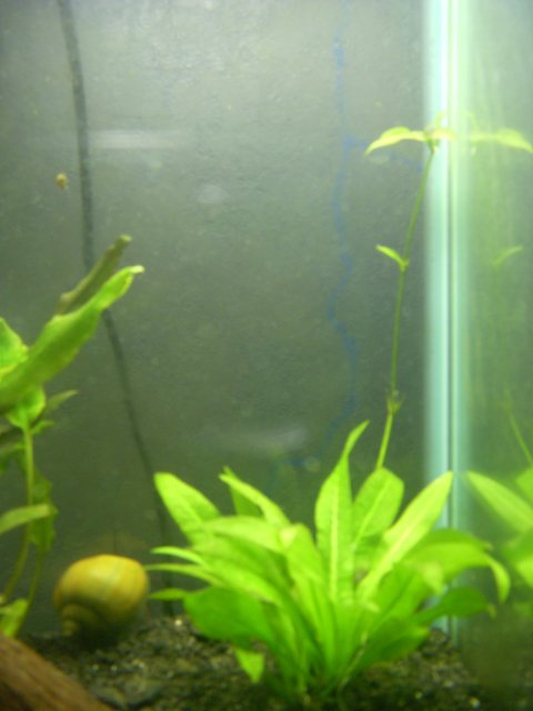 DSCN0997.JPG DSCN0997.JPG