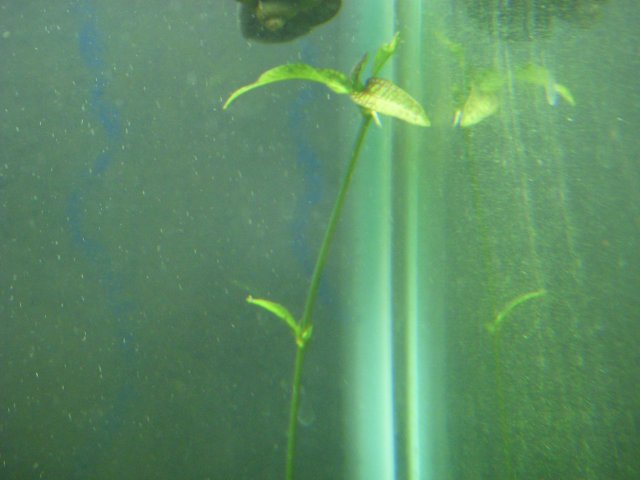 DSCN1005.JPG DSCN1005.JPG