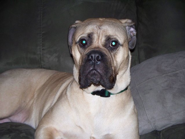 Mckenzie 017.JPG