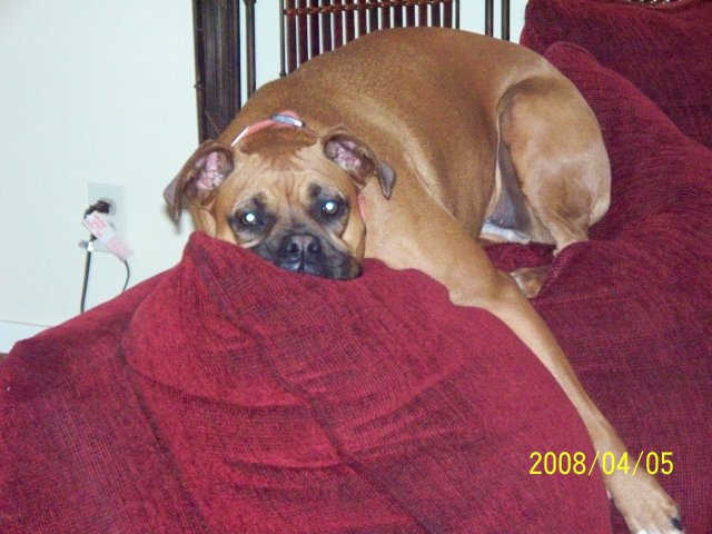 spring 08 021.JPG