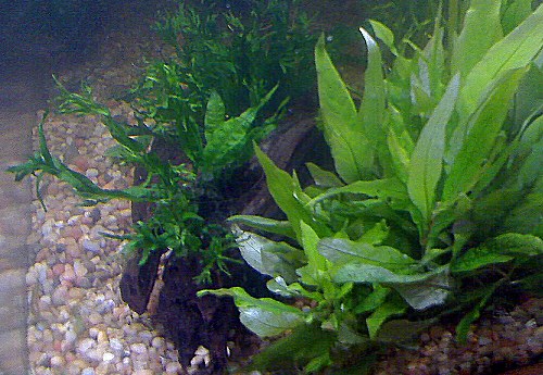 07-02-09_2227.jpg