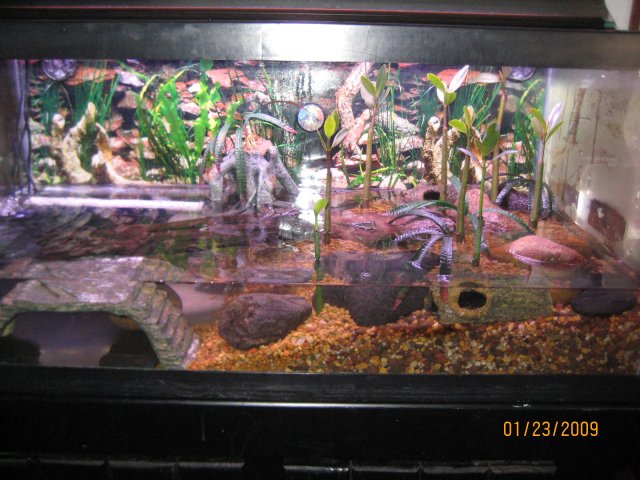 IMG_2841.JPG