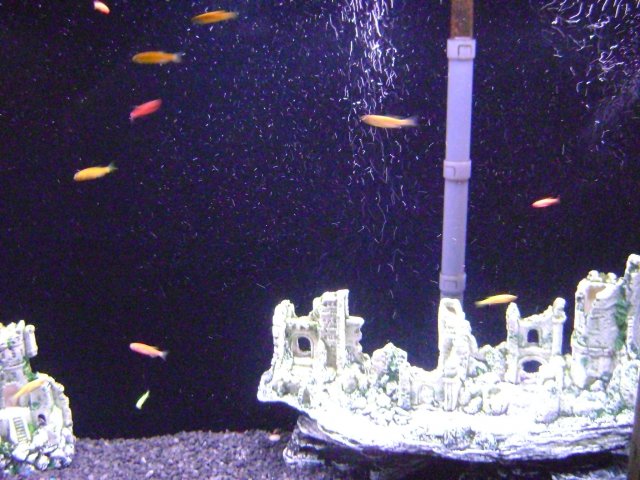 DSC08381.JPG