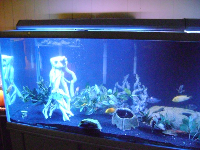 DSC08394.JPG
