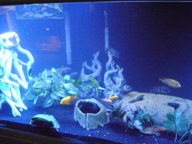 DSC08396.JPG