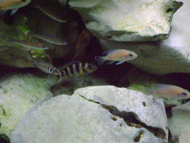 DSC08402.JPG