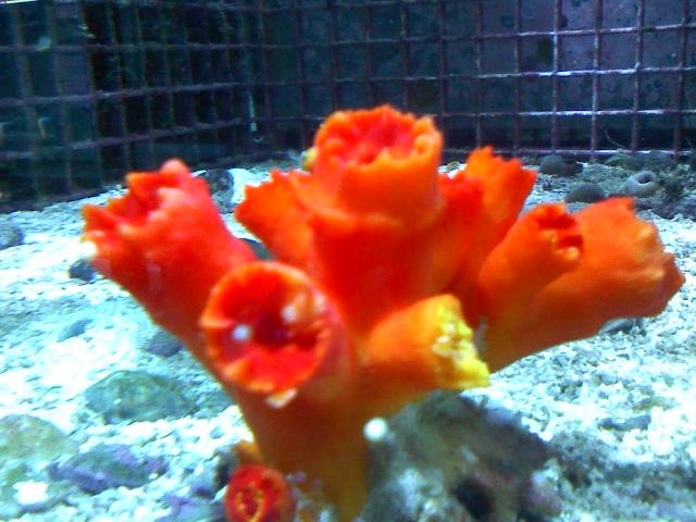 0213091530.jpg