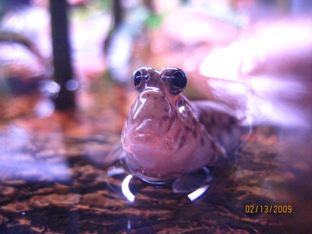 IMG_3810.JPG