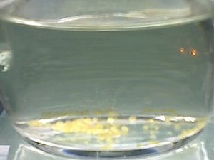 day5eggs.jpg
