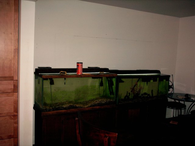 from kitchen.JPG