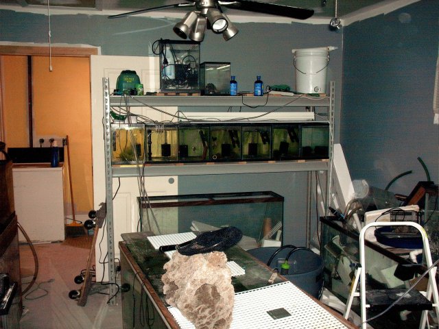 laundry room.JPG