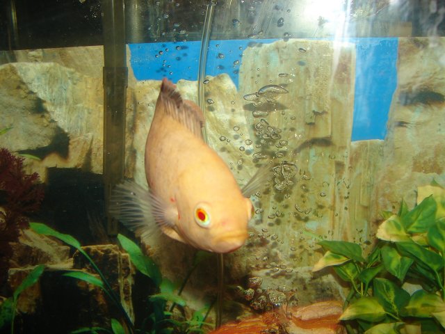 DSC06954.JPG