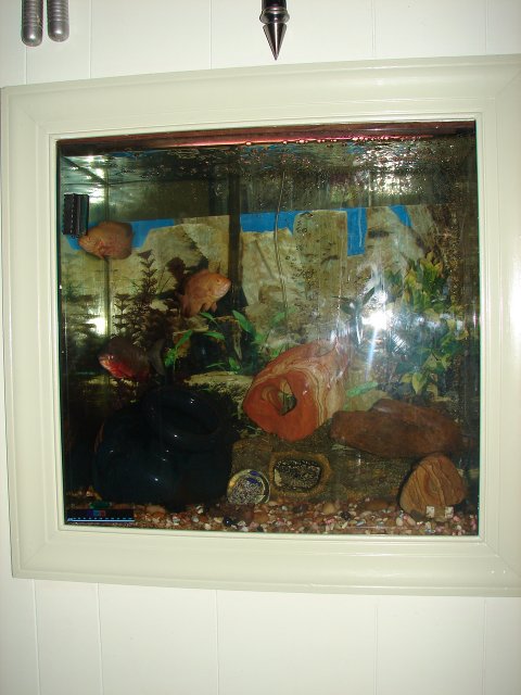 DSC06960.JPG
