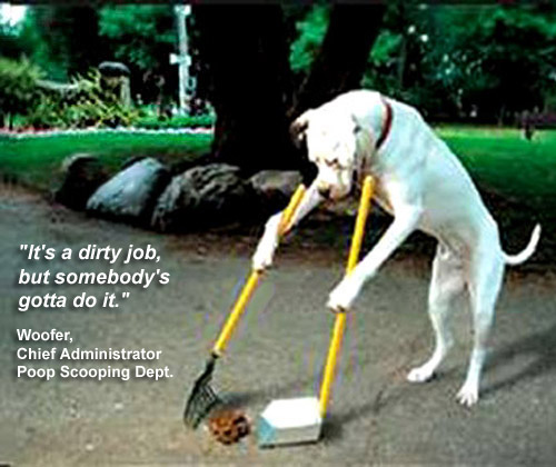 scooper-2.jpg scooper-2.jpg