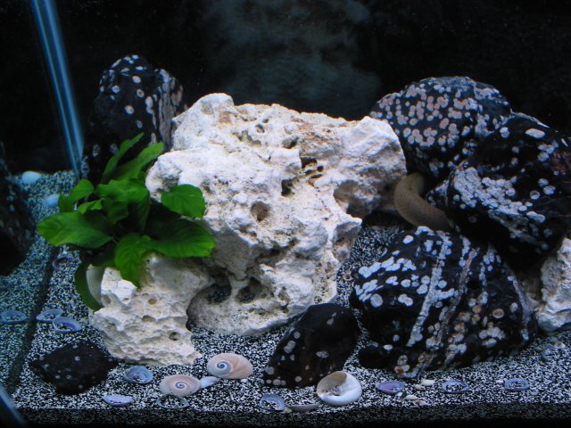 100-0073_IMG.JPG