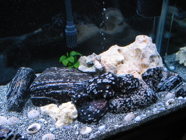 100-0074_IMG.JPG