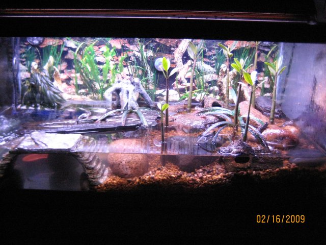 IMG_4076.JPG