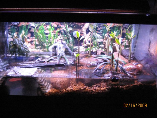 IMG_4082.JPG