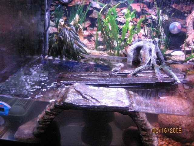 IMG_4078.JPG