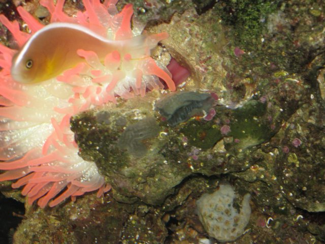 IMG_0009.JPG