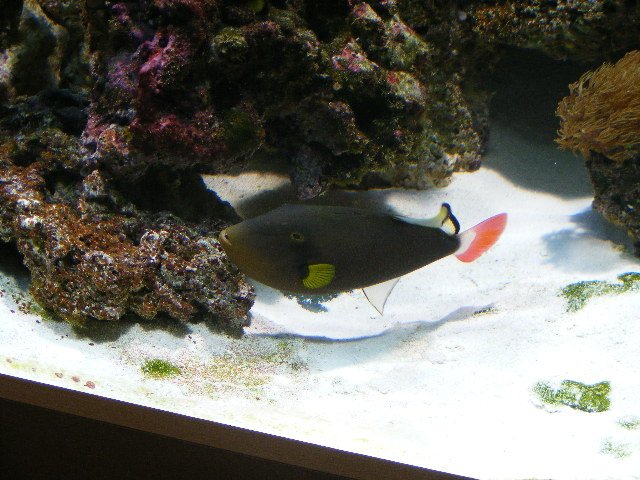 2008_1014miscOct0018.JPG