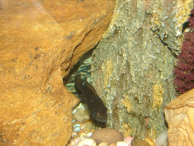 DSC07262.JPG