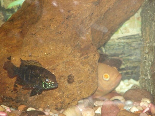 DSC07279.JPG