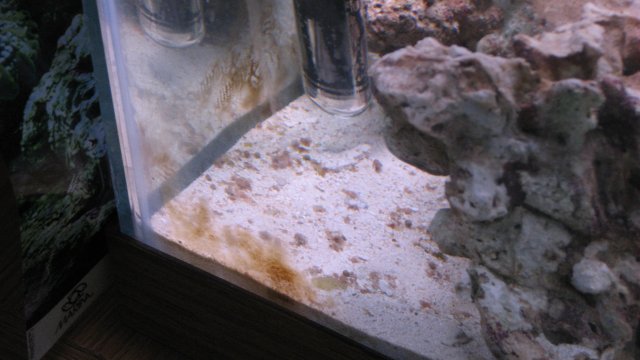 IMG_1701.JPG