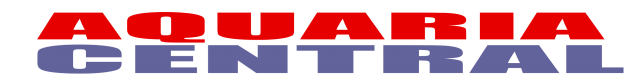 ITC Zapf Ch.png