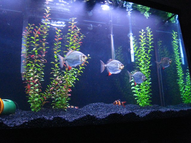 IMG_0882.JPG