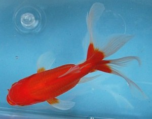 2480b.jpg