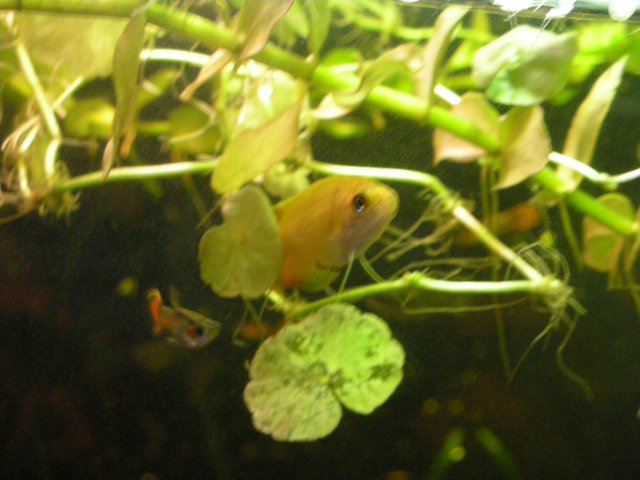 DSCN1278.JPG