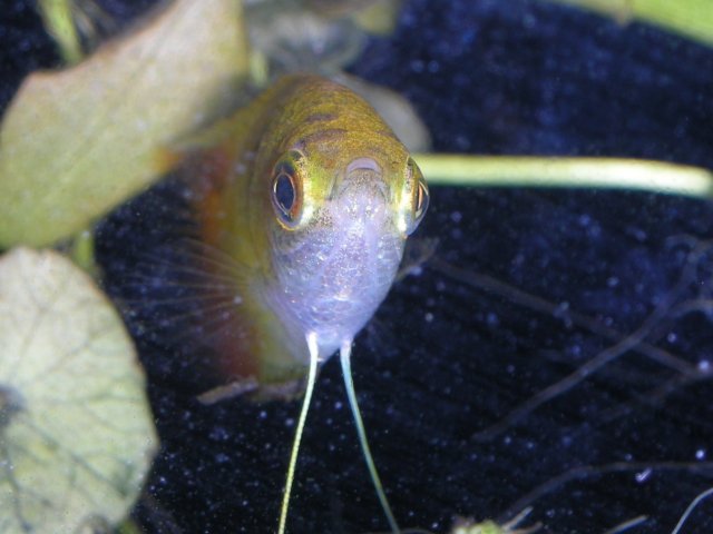 RSCN1276.JPG