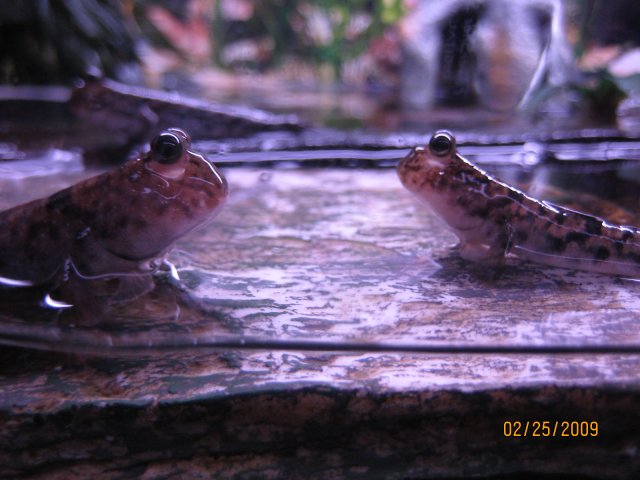 IMG_4462.JPG