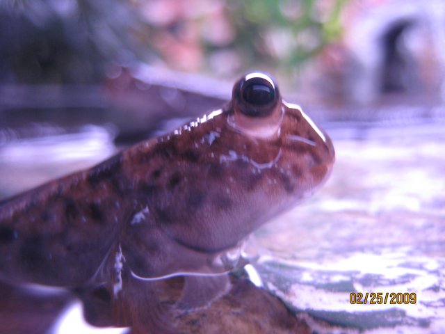 IMG_4465.JPG